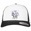 Flexfit Retro Trucker Cap 2-Tone Miniaturansicht