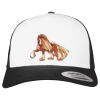 Flexfit Retro Trucker Cap 2-Tone Miniaturansicht