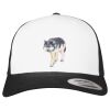 Flexfit Retro Trucker Cap 2-Tone Miniaturansicht
