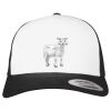Flexfit Retro Trucker Cap 2-Tone Miniaturansicht