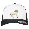 Flexfit Retro Trucker Cap 2-Tone Miniaturansicht