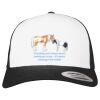 Flexfit Retro Trucker Cap 2-Tone Miniaturansicht