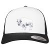 Flexfit Retro Trucker Cap 2-Tone Miniaturansicht