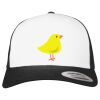 Flexfit Retro Trucker Cap 2-Tone Miniaturansicht