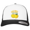 Flexfit Retro Trucker Cap 2-Tone Miniaturansicht