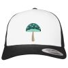 Flexfit Retro Trucker Cap 2-Tone Miniaturansicht
