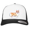Flexfit Retro Trucker Cap 2-Tone Miniaturansicht