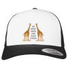 Flexfit Retro Trucker Cap 2-Tone Miniaturansicht
