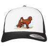 Flexfit Retro Trucker Cap 2-Tone Miniaturansicht