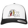 Flexfit Retro Trucker Cap 2-Tone Miniaturansicht