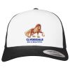 Flexfit Retro Trucker Cap 2-Tone Miniaturansicht