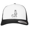 Flexfit Retro Trucker Cap 2-Tone Miniaturansicht