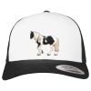 Flexfit Retro Trucker Cap 2-Tone Miniaturansicht