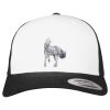 Flexfit Retro Trucker Cap 2-Tone Miniaturansicht