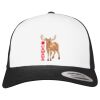 Flexfit Retro Trucker Cap 2-Tone Miniaturansicht