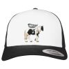 Flexfit Retro Trucker Cap 2-Tone Miniaturansicht