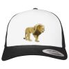 Flexfit Retro Trucker Cap 2-Tone Miniaturansicht