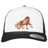 Flexfit Retro Trucker Cap 2-Tone Miniaturansicht