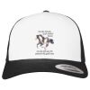 Flexfit Retro Trucker Cap 2-Tone Miniaturansicht