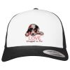Flexfit Retro Trucker Cap 2-Tone Miniaturansicht