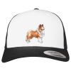 Flexfit Retro Trucker Cap 2-Tone Miniaturansicht