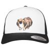 Flexfit Retro Trucker Cap 2-Tone Miniaturansicht