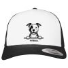 Flexfit Retro Trucker Cap 2-Tone Miniaturansicht