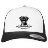 Flexfit Retro Trucker Cap 2-Tone Miniaturansicht