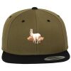 Two Tone Classic Snapback Cap Miniaturansicht