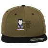 Two Tone Classic Snapback Cap Miniaturansicht