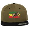 Two Tone Classic Snapback Cap Miniaturansicht