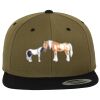 Two Tone Classic Snapback Cap Miniaturansicht